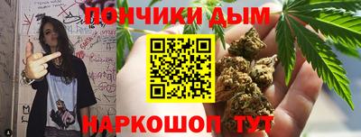 дмт Сланцы