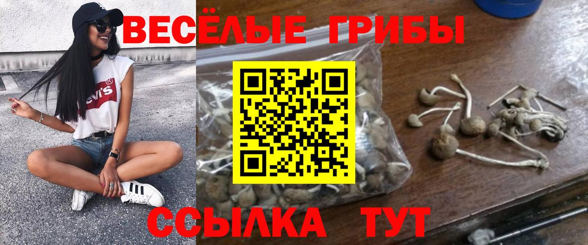 Соликамск  Галлюциногенные грибы Cubensis  Вход с VPN 